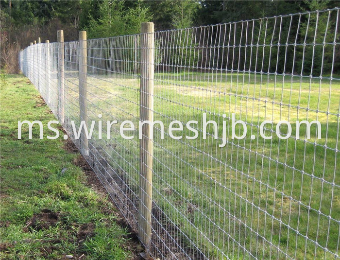 Cattle Fence Net